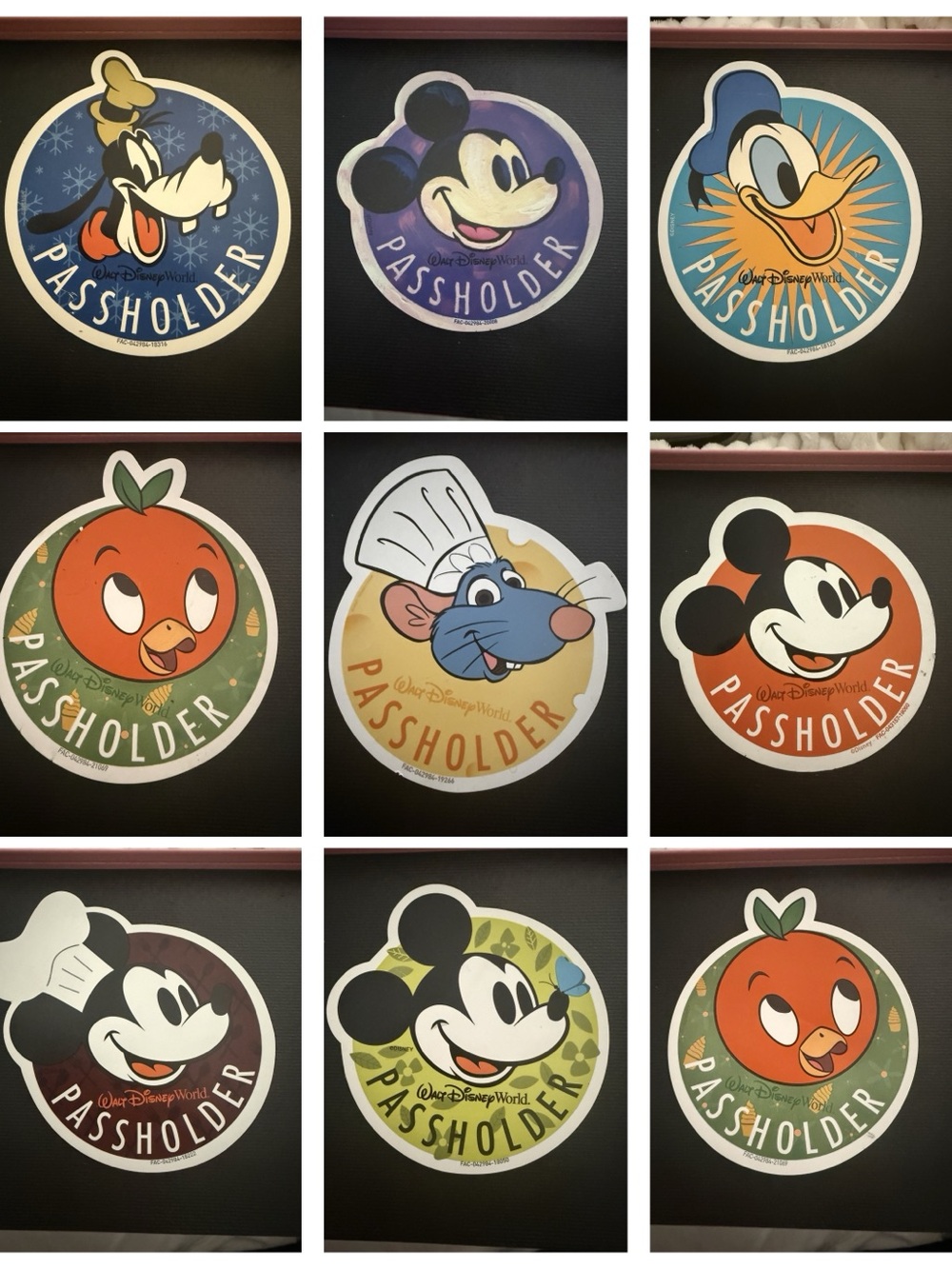Disney Annual Passholder Magnets